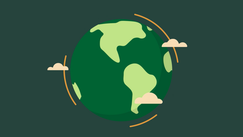 TREES Foundation Animation